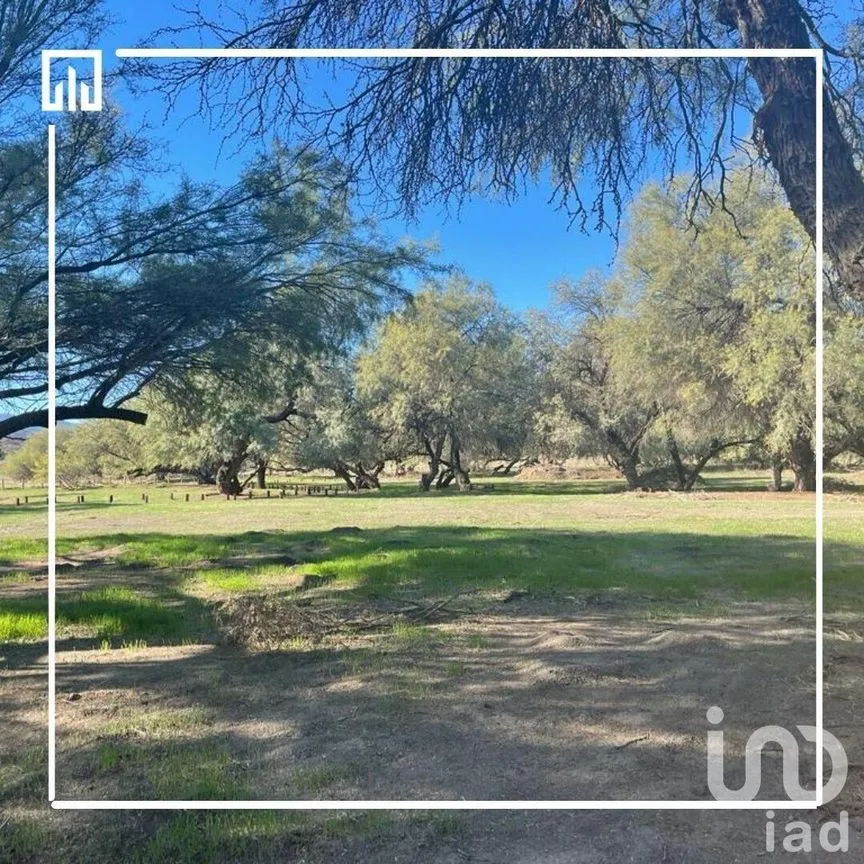 Terreno en Venta en Francisco Zarco, Ensenada, Baja California | NEX-232858 | iad México | Foto 3 de 6