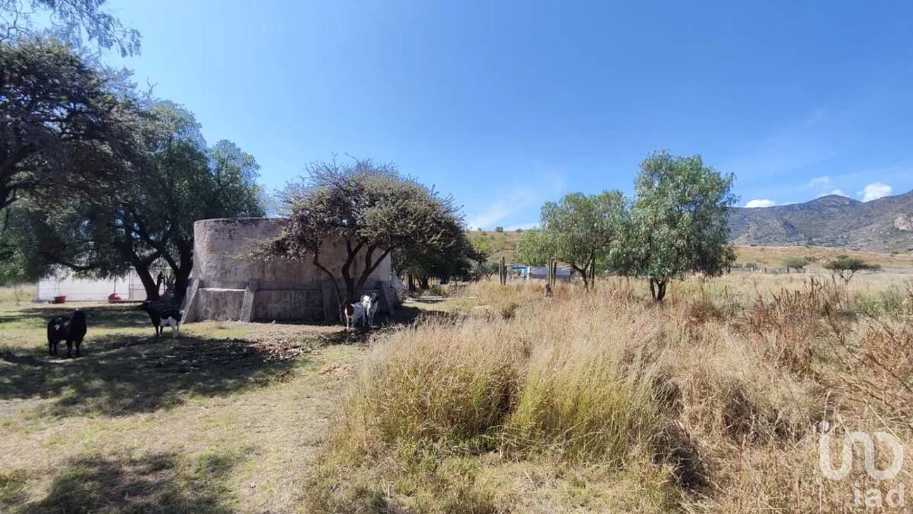 Casa en Venta en La Pila, San Luis Potosí, San Luis Potosí | NEX-277046 | iad México | Foto 4 de 24