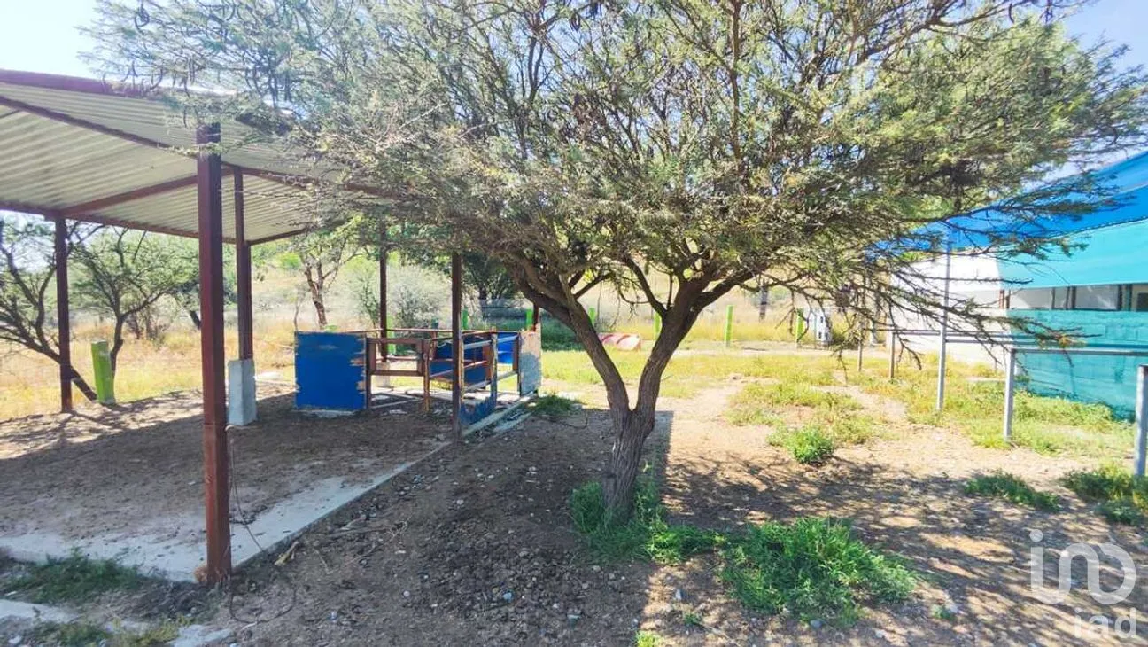 Casa en Venta en La Pila, San Luis Potosí, San Luis Potosí | NEX-277046 | iad México | Foto 8 de 24