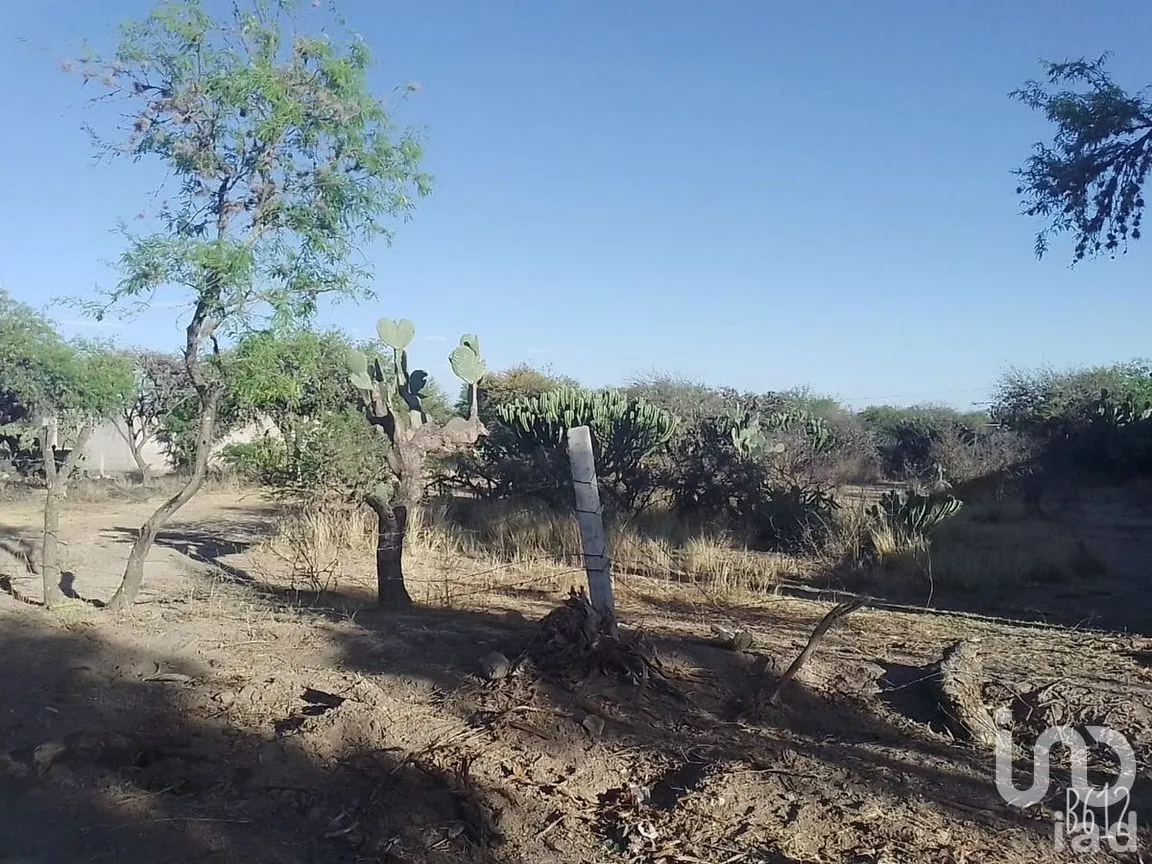 Terreno en Venta en San Marcos Carmona, Mexquitic de Carmona, San Luis Potosí | NEX-277370 | iad México | Foto 3 de 6