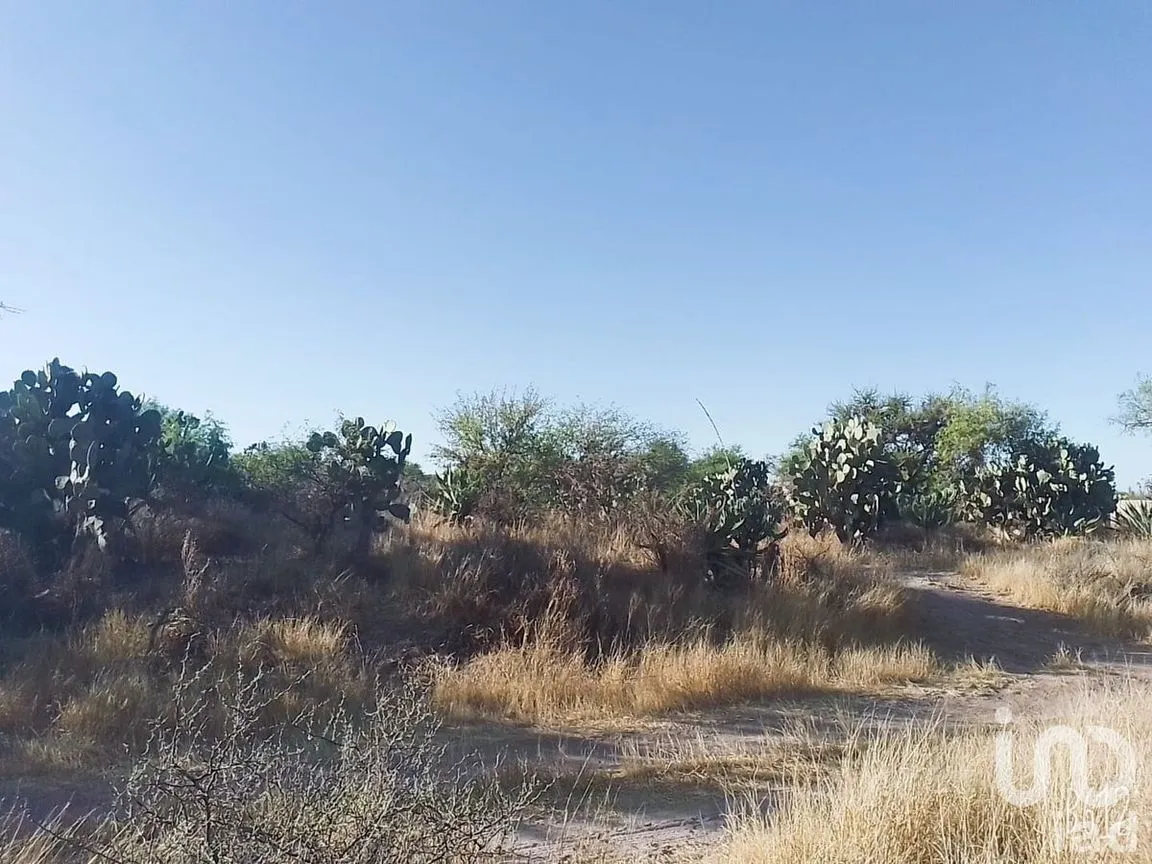 Terreno en Venta en San Marcos Carmona, Mexquitic de Carmona, San Luis Potosí | NEX-277370 | iad México | Foto 4 de 6