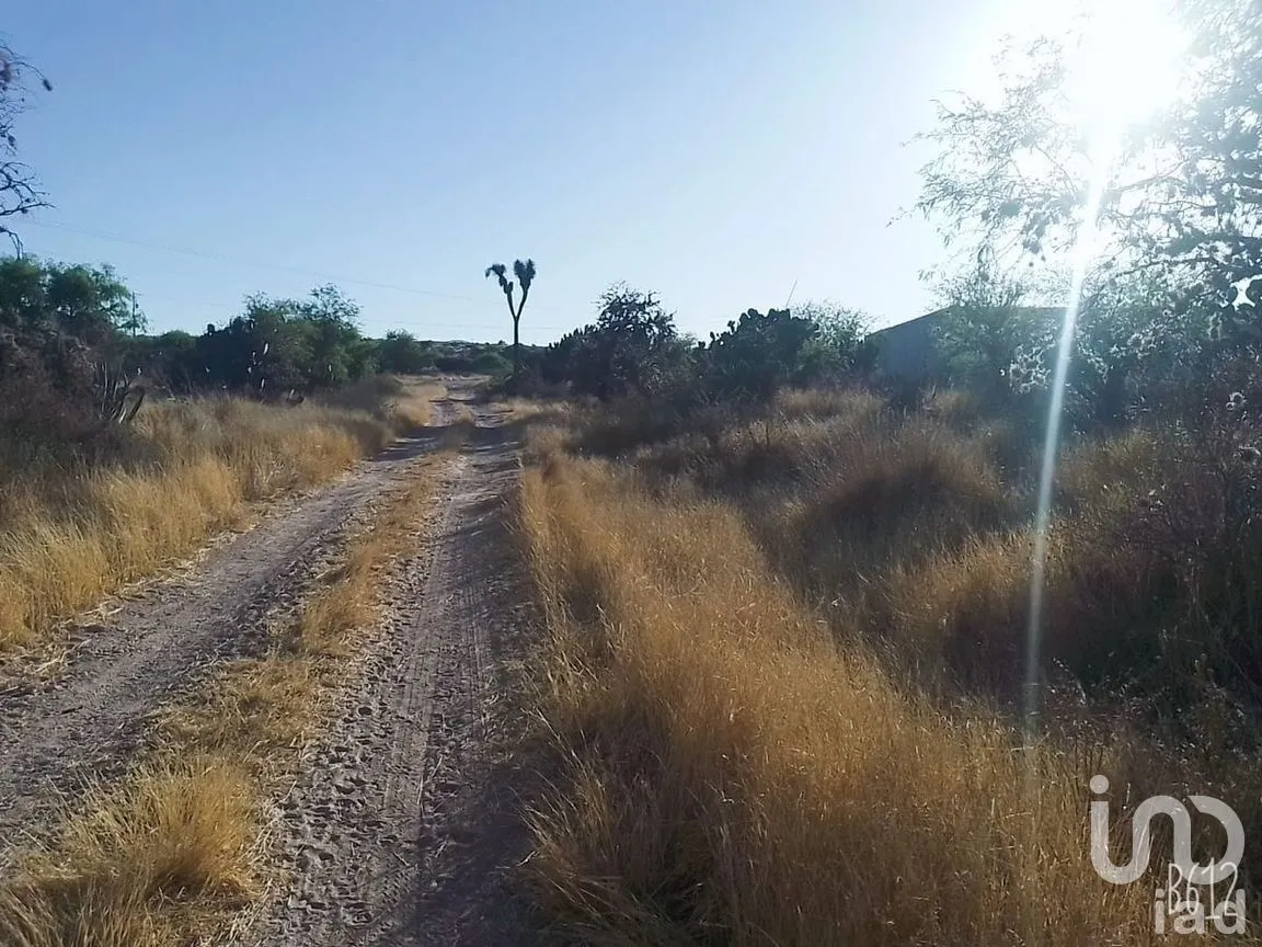 Terreno en Venta en San Marcos Carmona, Mexquitic de Carmona, San Luis Potosí | NEX-277370 | iad México | Foto 5 de 6