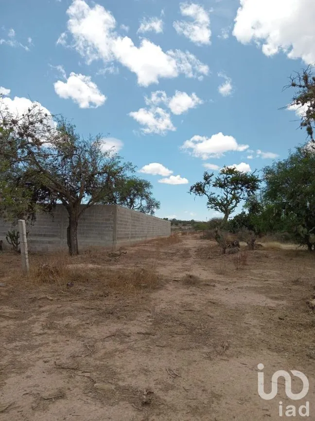 Terreno en Venta en San Marcos Carmona, Mexquitic de Carmona, San Luis Potosí | NEX-277374 | iad México | Foto 3 de 5