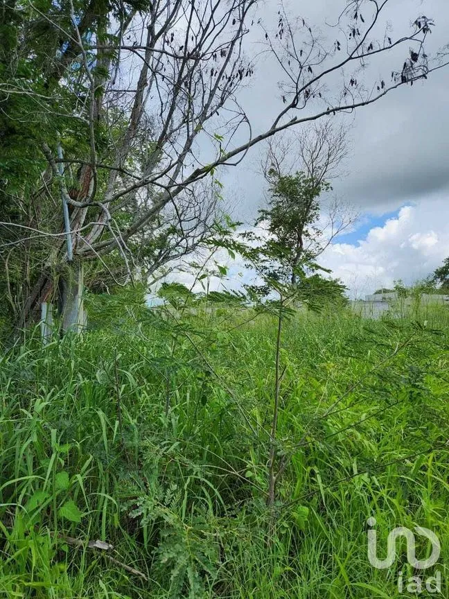 Terreno en Venta en Dzityá, Mérida, Yucatán | NEX-228774 | iad México | Foto 2 de 5