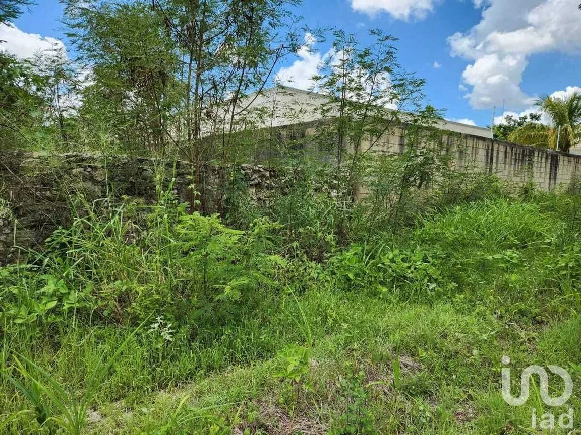 Terreno en Venta en Dzityá, Mérida, Yucatán | NEX-228774 | iad México | Foto 4 de 5
