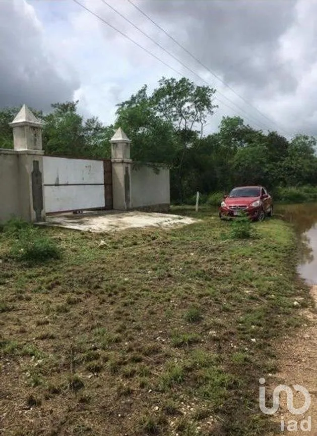 Terreno en Venta en Chicxulub, Chicxulub Pueblo, Yucatán | NEX-270452 | iad México | Foto 4 de 6