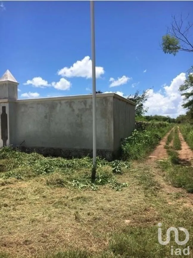 Terreno en Venta en Chicxulub, Chicxulub Pueblo, Yucatán | NEX-270452 | iad México | Foto 5 de 6