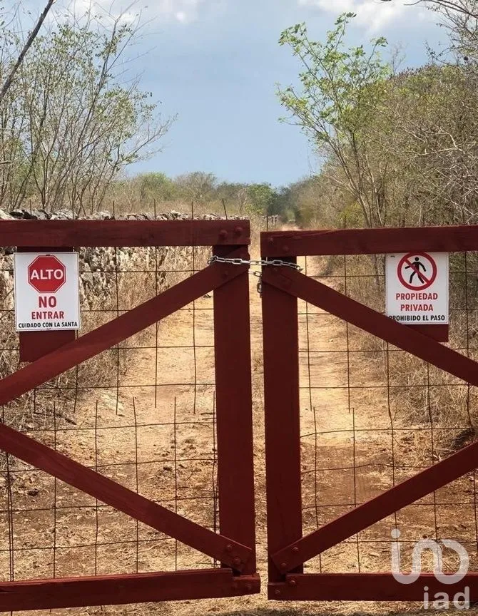Terreno en Venta en Chicxulub, Chicxulub Pueblo, Yucatán | NEX-270452 | iad México | Foto 6 de 6