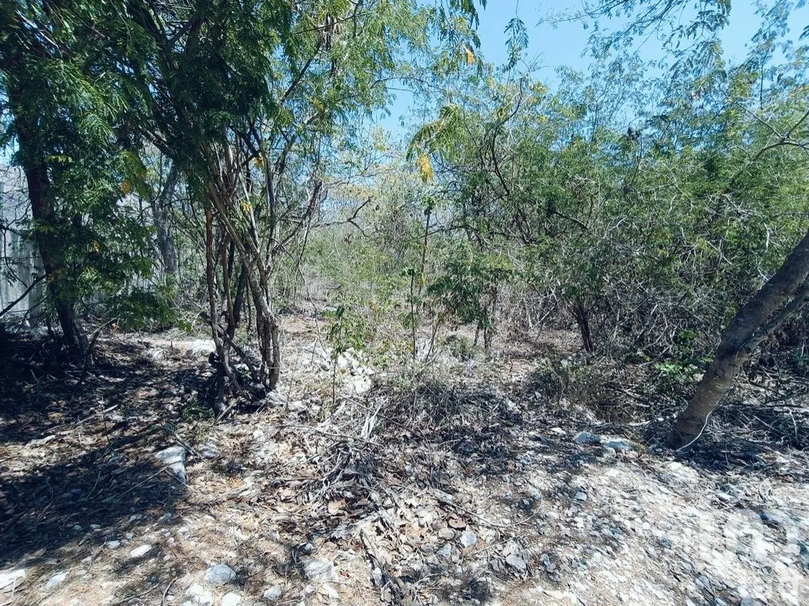 Terreno en Venta en Yucatán Country Club, Mérida, Yucatán | NEX-270454 | iad México | Foto 4 de 9