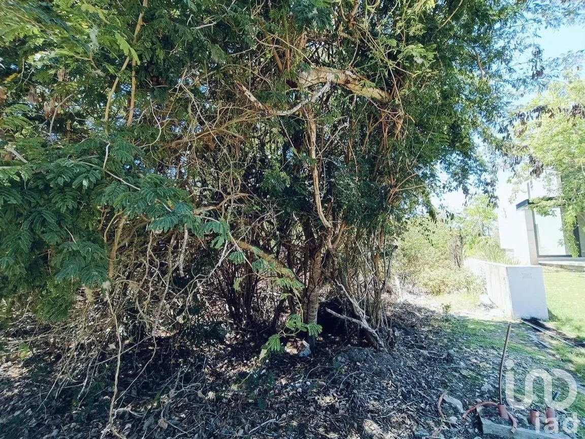 Terreno en Venta en Yucatán Country Club, Mérida, Yucatán | NEX-270454 | iad México | Foto 6 de 9