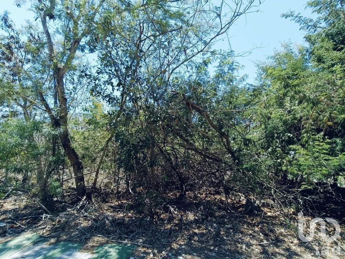 Terreno en Venta en Yucatán Country Club, Mérida, Yucatán | NEX-270454 | iad México | Foto 7 de 9