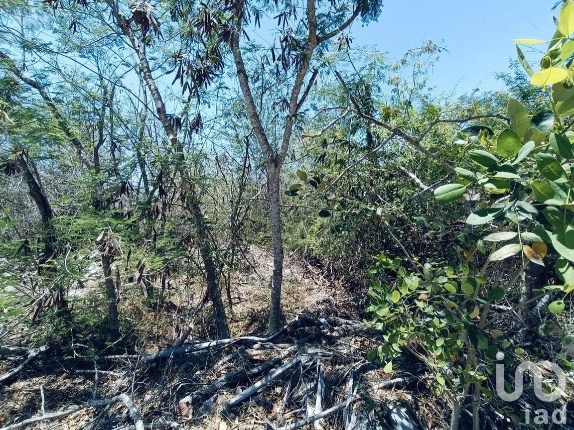 Terreno en Venta en Yucatán Country Club, Mérida, Yucatán | NEX-270454 | iad México | Foto 8 de 9