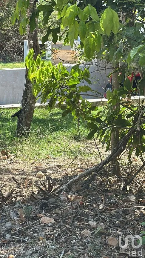 Terreno en Venta en Yucatán Country Club, Mérida, Yucatán | NEX-270454 | iad México | Foto 9 de 9