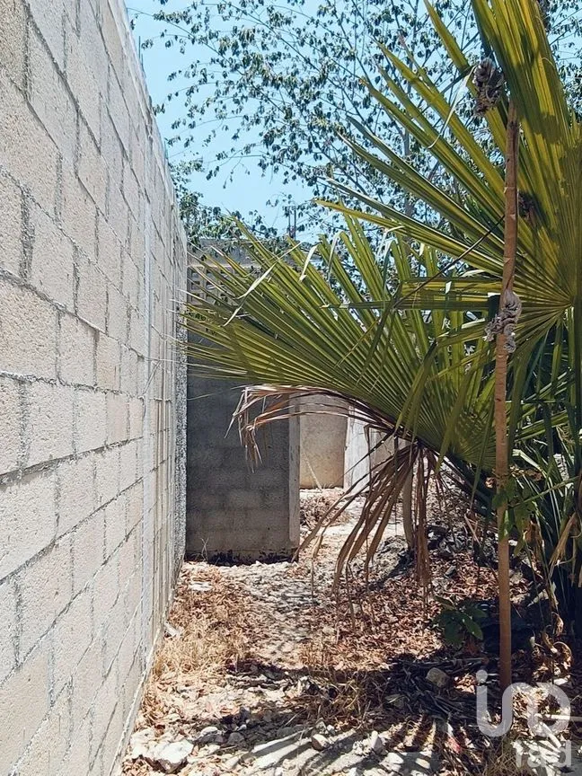 Casa en Renta en Mérida Centro, Mérida, Yucatán | NEX-270455 | iad México | Foto 12 de 17