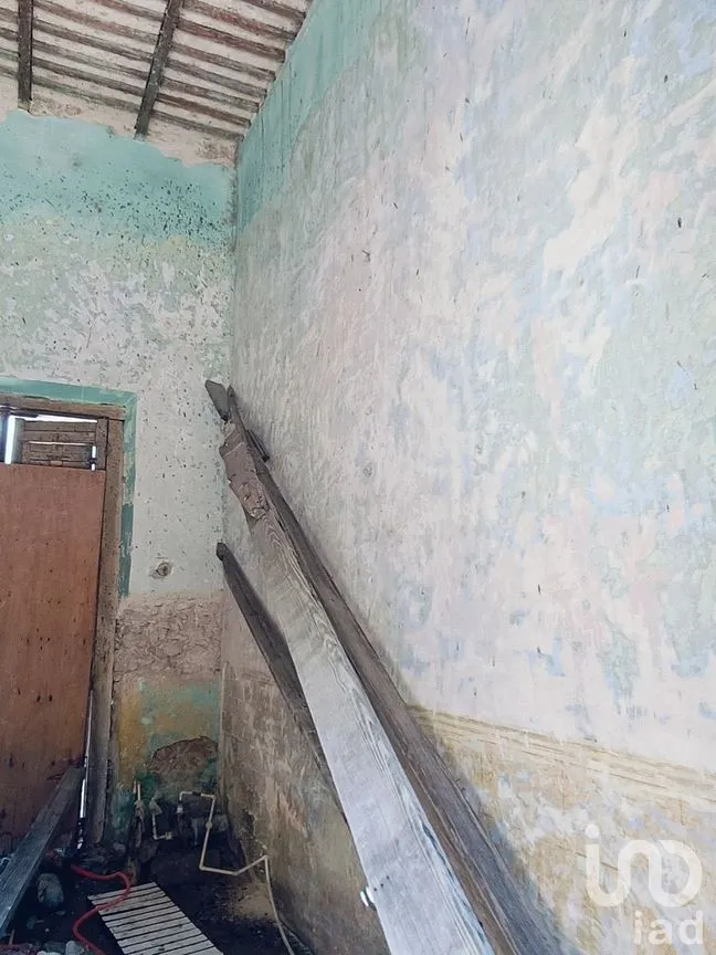 Casa en Renta en Mérida Centro, Mérida, Yucatán | NEX-270455 | iad México | Foto 13 de 17