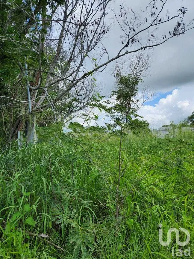 Terreno en Venta en Dzityá, Mérida, Yucatán | NEX-270458 | iad México | Foto 2 de 5