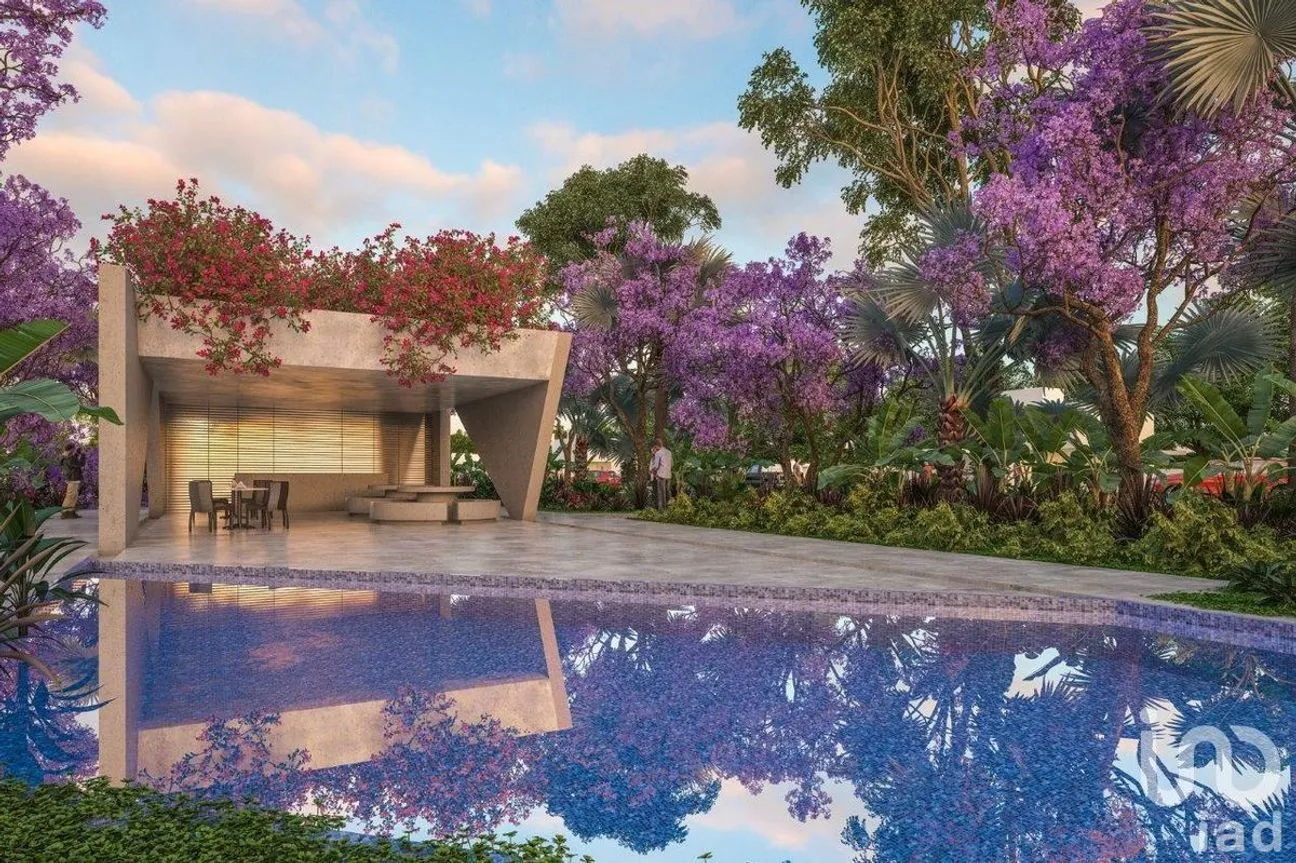 Terreno en Venta en Kikteil, Mérida, Yucatán | NEX-229774 | iad México | Foto 8 de 10
