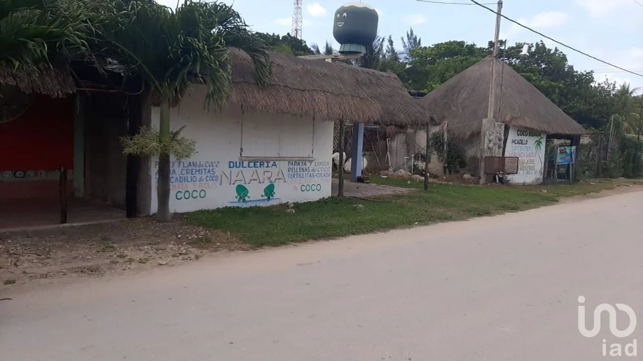 Casa en Venta en San Crisanto, Sinanché, Yucatán | NEX-97254 | iad México | Foto 4 de 4