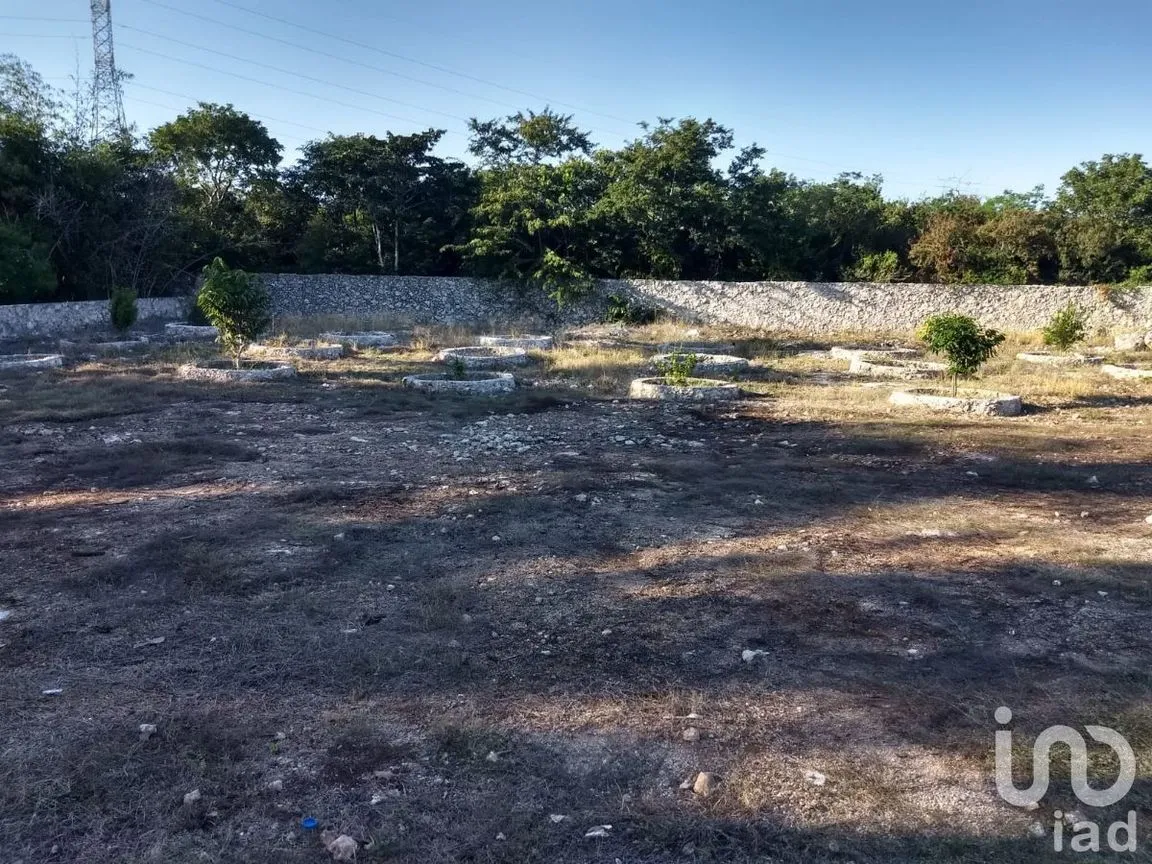 Terreno en Venta en Dzity á, Mérida, Yucatán | NEX-230817 | iad México | Foto 15 de 24