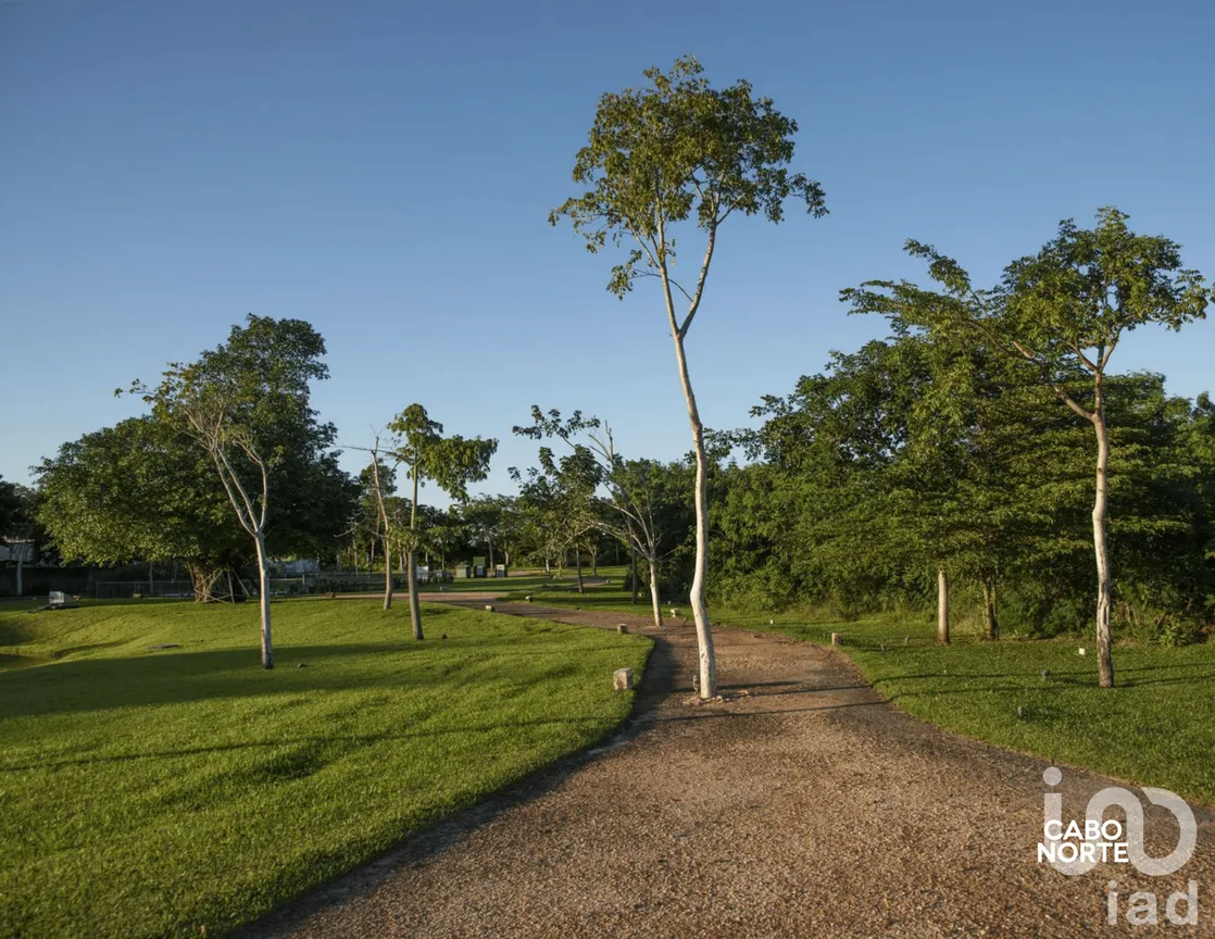 Terreno en Venta en Cabo Norte, Mérida, Yucatán | NEX-230833 | iad México | Foto 4 de 5