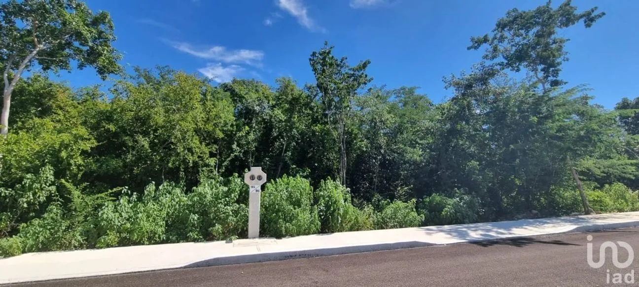 Terreno en Venta en Valladolid Centro, Valladolid, Yucatán | NEX-230845 | iad México | Foto 8 de 11
