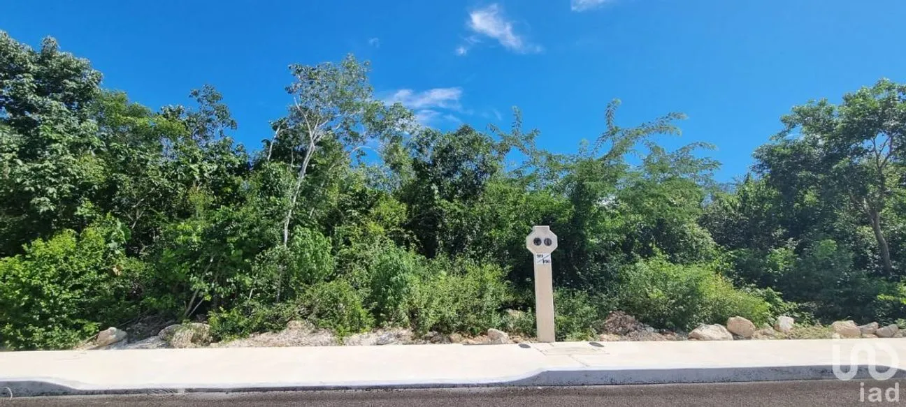 Terreno en Venta en Valladolid Centro, Valladolid, Yucatán | NEX-230845 | iad México | Foto 9 de 11