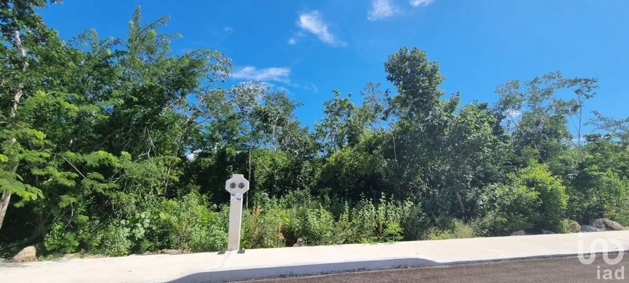 Terreno en Venta en Valladolid Centro, Valladolid, Yucatán | NEX-230845 | iad México | Foto 10 de 11
