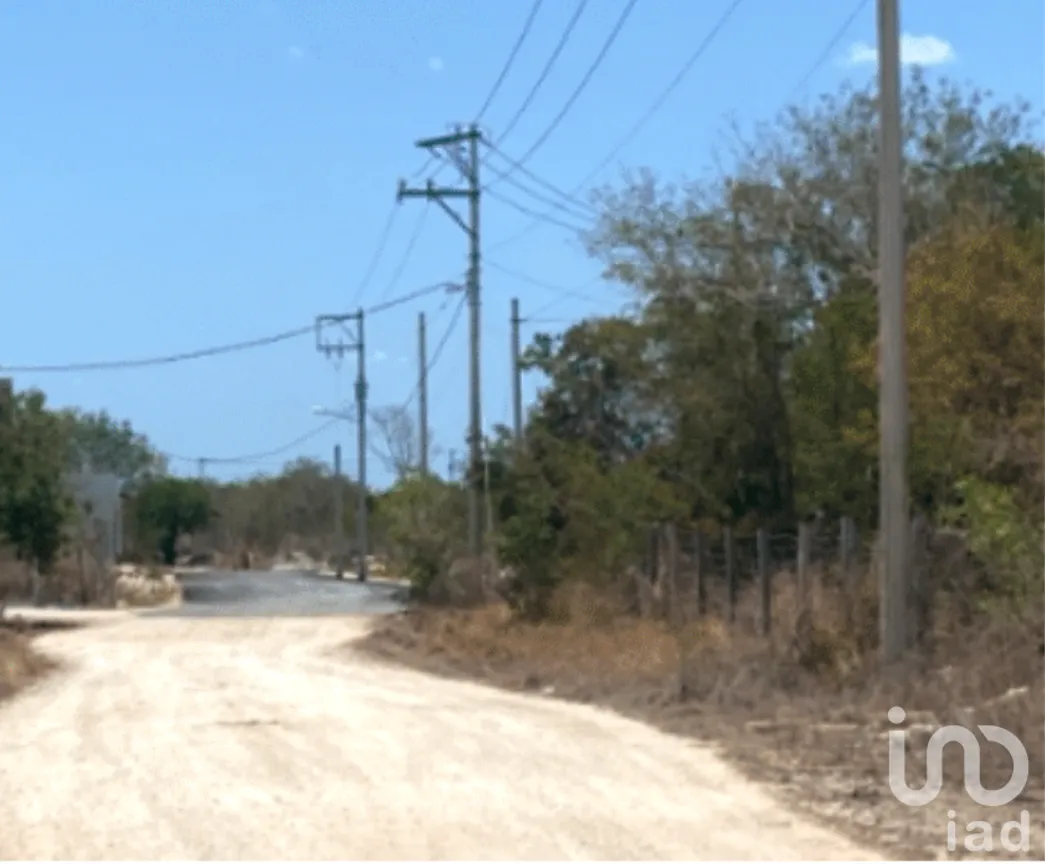 Terreno en Venta en Dzityá, Mérida, Yucatán | NEX-230884 | iad México | Foto 4 de 7