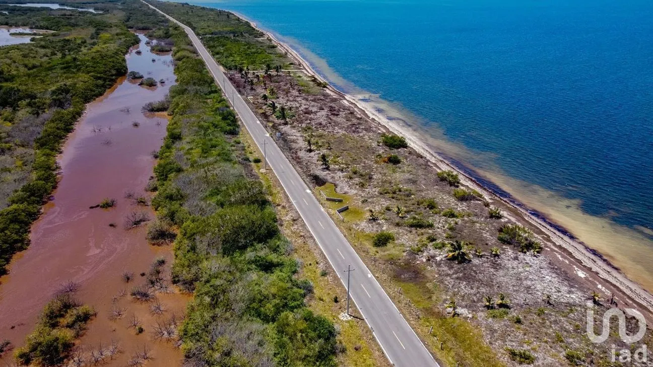Terreno en Venta en Santa Clara, Dzidzantún, Yucatán | NEX-230929 | iad México | Foto 3 de 5