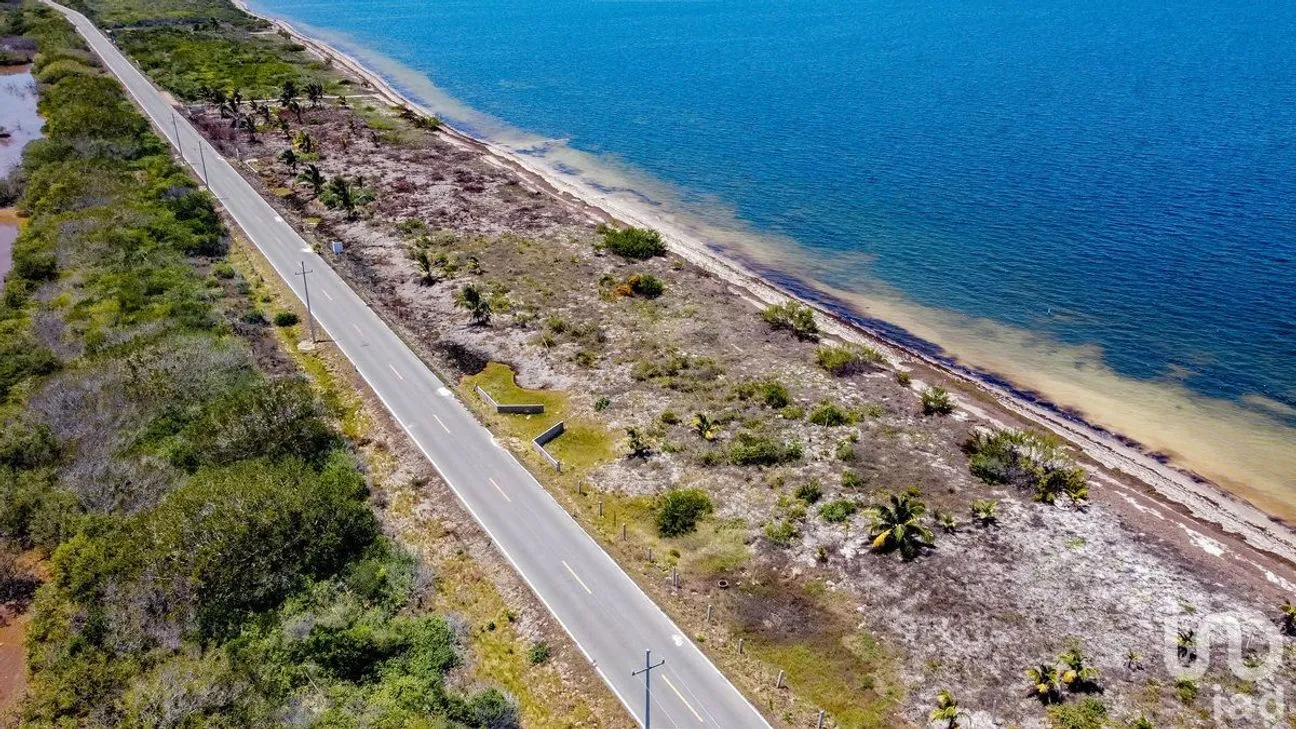 Terreno en Venta en Santa Clara, Dzidzantún, Yucatán | NEX-230929 | iad México | Foto 4 de 5