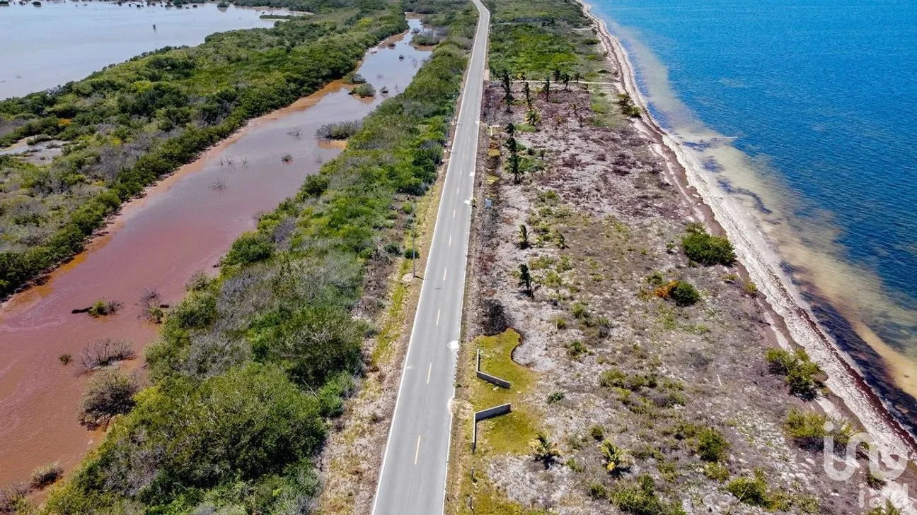 Terreno en Venta en Santa Clara, Dzidzantún, Yucatán | NEX-230929 | iad México | Foto 5 de 5
