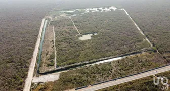 NEX-272292 - Terreno en Venta en Chicxulub, CP 97340, Yucatán.