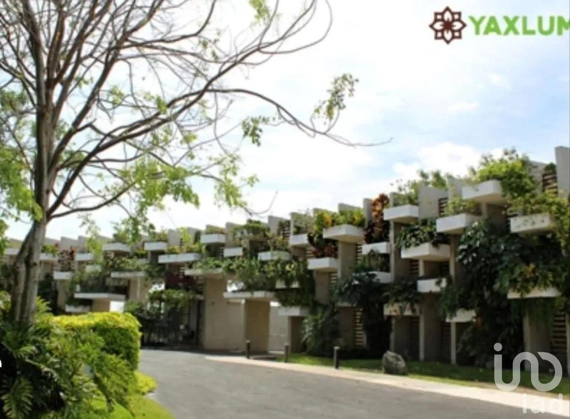 Terreno en Venta en Yaxkukul, Yaxkukul, Yucatán | NEX-272301 | iad México | Foto 7 de 10
