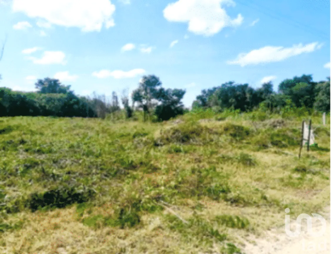 Terreno en Venta en Dzityá, Mérida, Yucatán | NEX-272334 | iad México | Foto 5 de 7