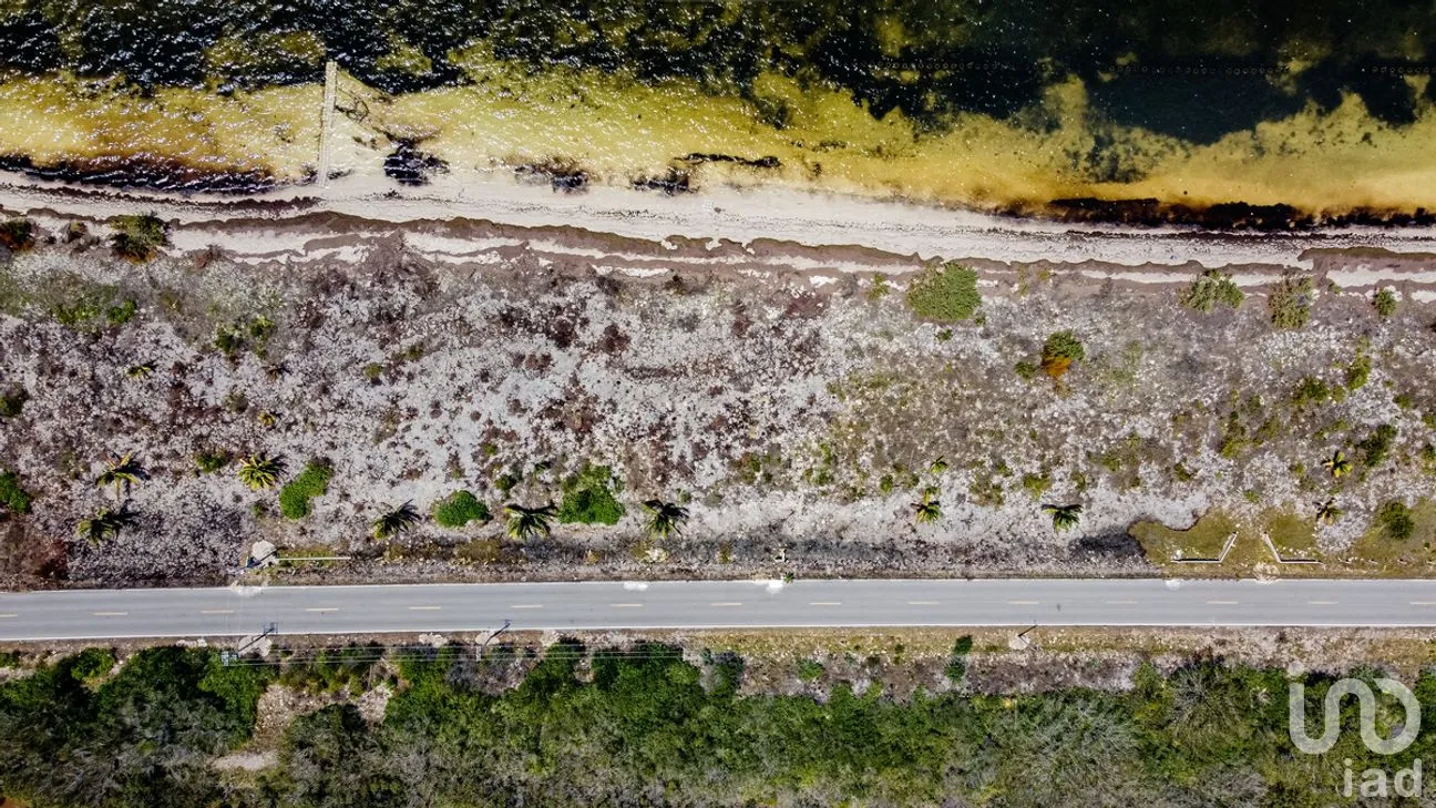 Terreno en Venta en Santa Clara, Dzidzantún, Yucatán | NEX-272358 | iad México | Foto 2 de 5