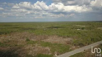 NEX-272394 - Terreno en Venta en Opichen, CP 97813, Yucatán.