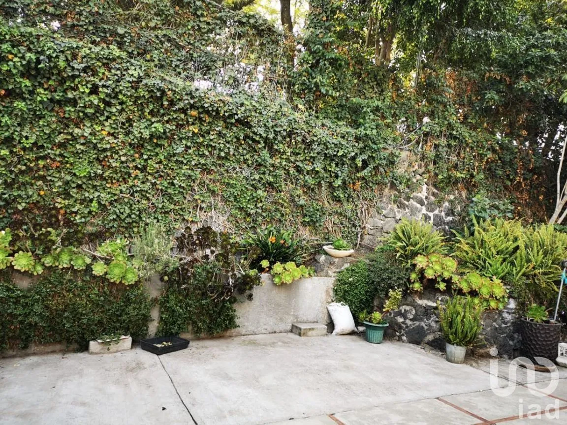 Casa en Venta en Jardines del Pedregal, Álvaro Obregón, Ciudad de México | NEX-110235 | iad México | Foto 7 de 13