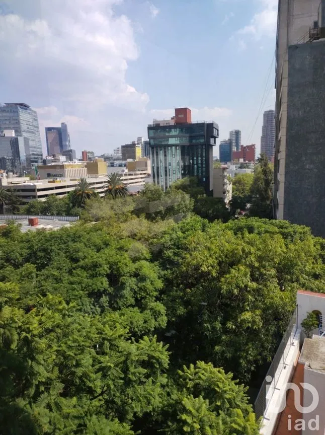 Departamento en Venta en Polanco V Sección, Miguel Hidalgo, Ciudad de México | NEX-113214 | iad México | Foto 4 de 22