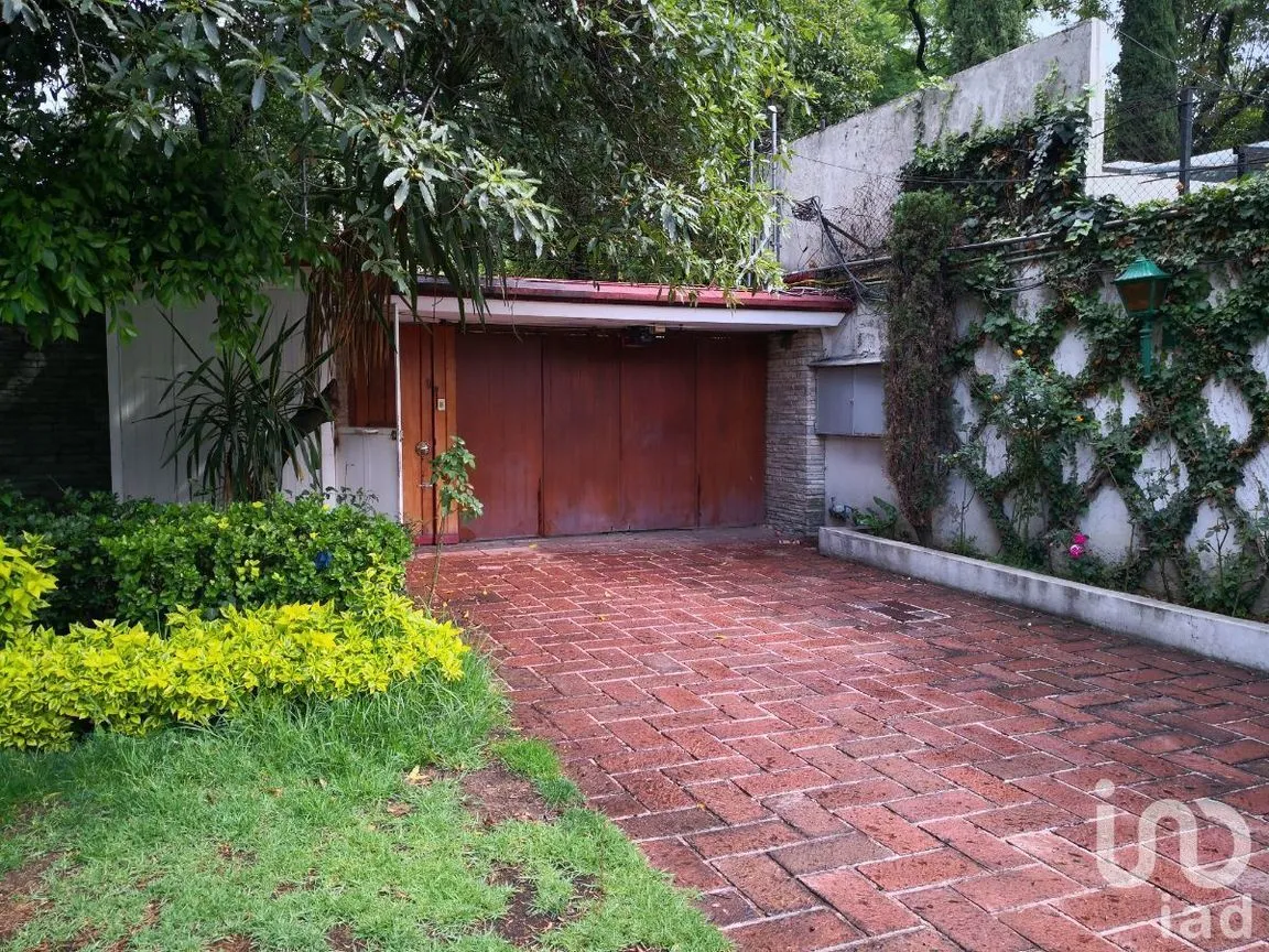Casa en Renta en Lomas de Chapultepec, Miguel Hidalgo, Ciudad de México | NEX-95761 | iad México | Foto 3 de 43