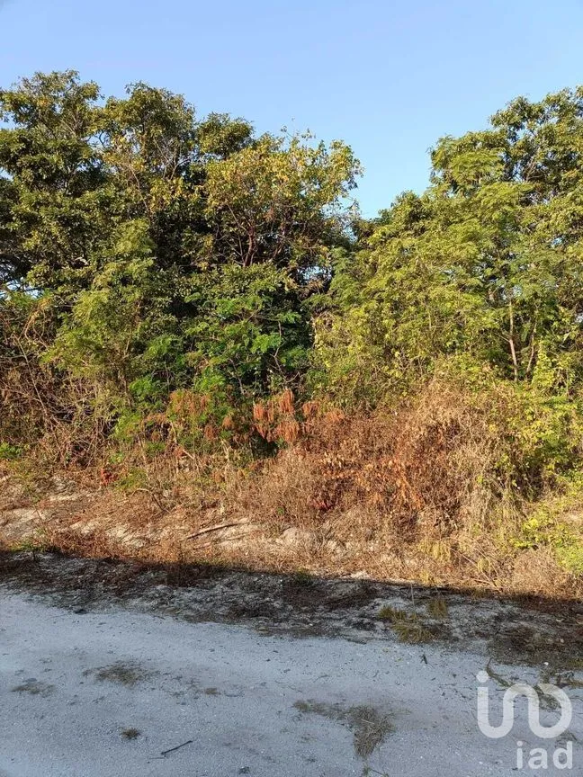 Terreno en Venta en Isla Aguada, Carmen, Campeche | NEX-227674 | iad México | Foto 2 de 13