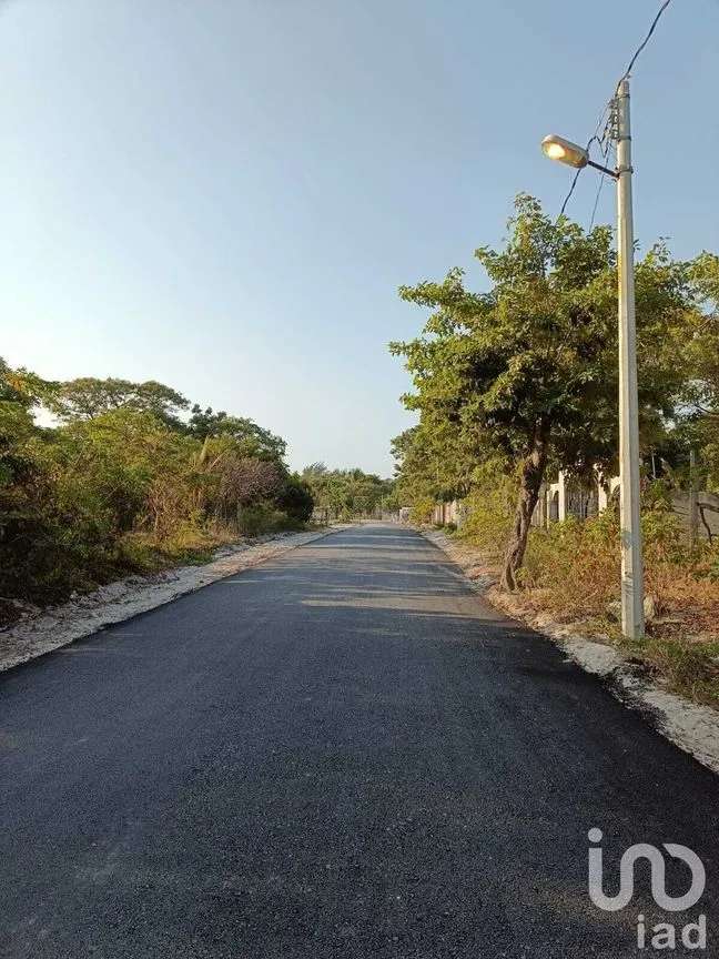 Terreno en Venta en Isla Aguada, Carmen, Campeche | NEX-227674 | iad México | Foto 11 de 13