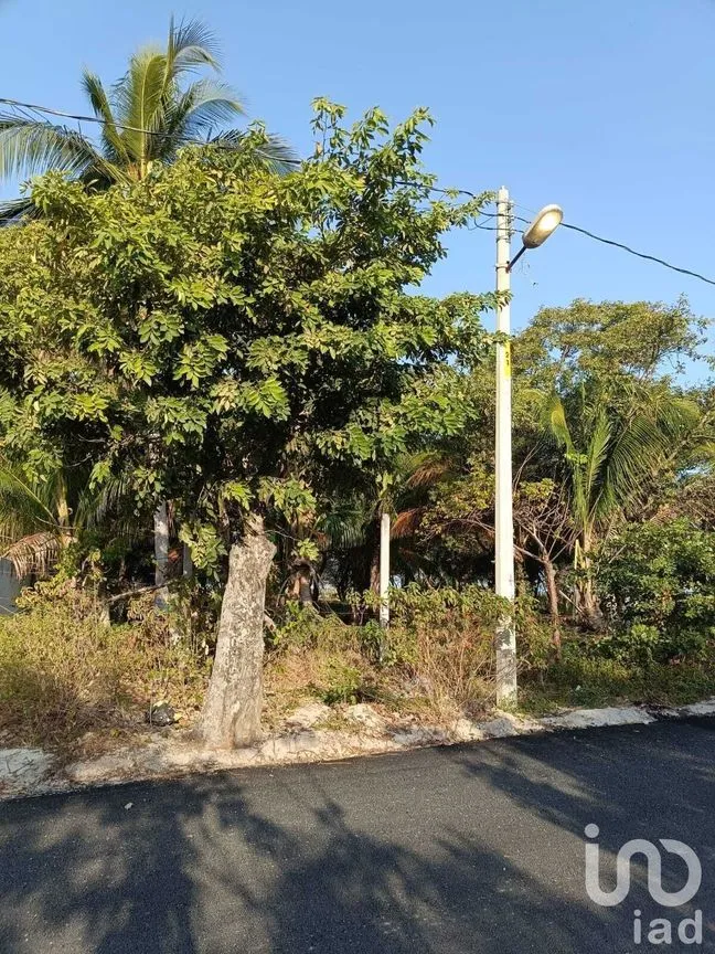 Terreno en Venta en Isla Aguada, Carmen, Campeche | NEX-227674 | iad México | Foto 3 de 13