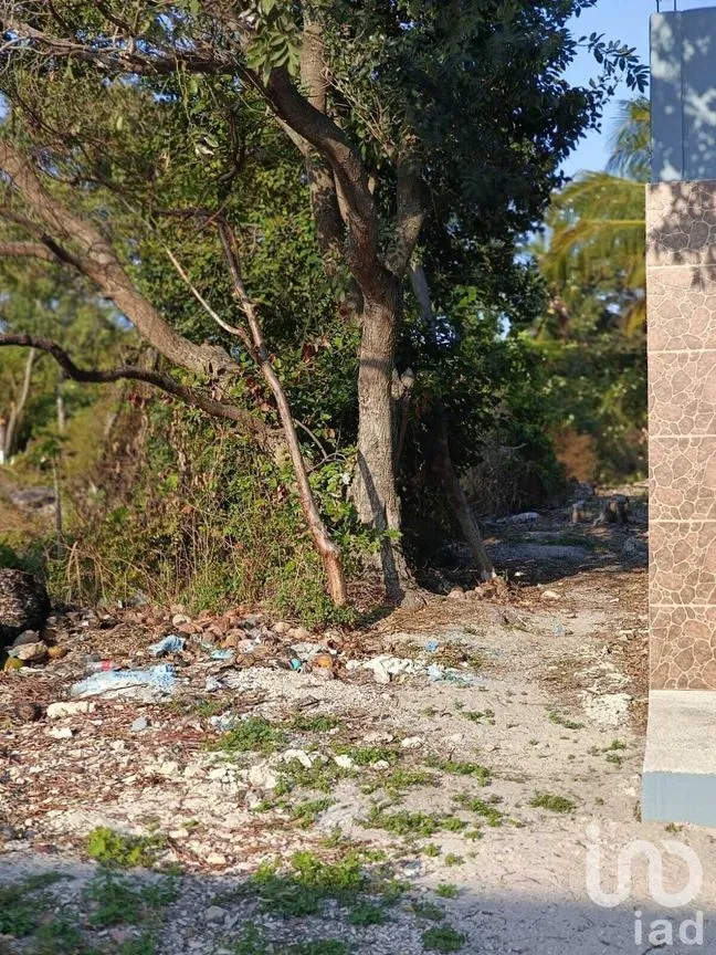 Terreno en Venta en Isla Aguada, Carmen, Campeche | NEX-227674 | iad México | Foto 4 de 13