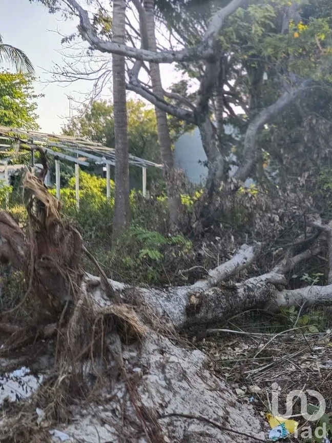 Terreno en Venta en Isla Aguada, Carmen, Campeche | NEX-227674 | iad México | Foto 5 de 13
