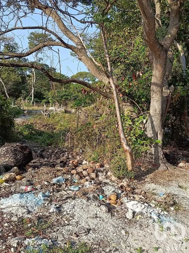 Terreno en Venta en Isla Aguada, Carmen, Campeche | NEX-227674 | iad México | Foto 8 de 13