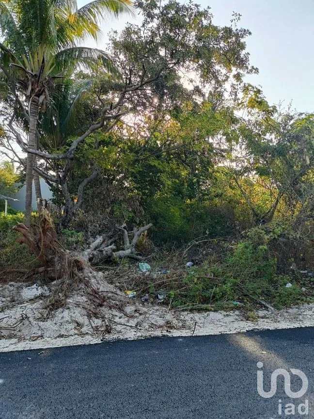 Terreno en Venta en Isla Aguada, Carmen, Campeche | NEX-227674 | iad México | Foto 9 de 13