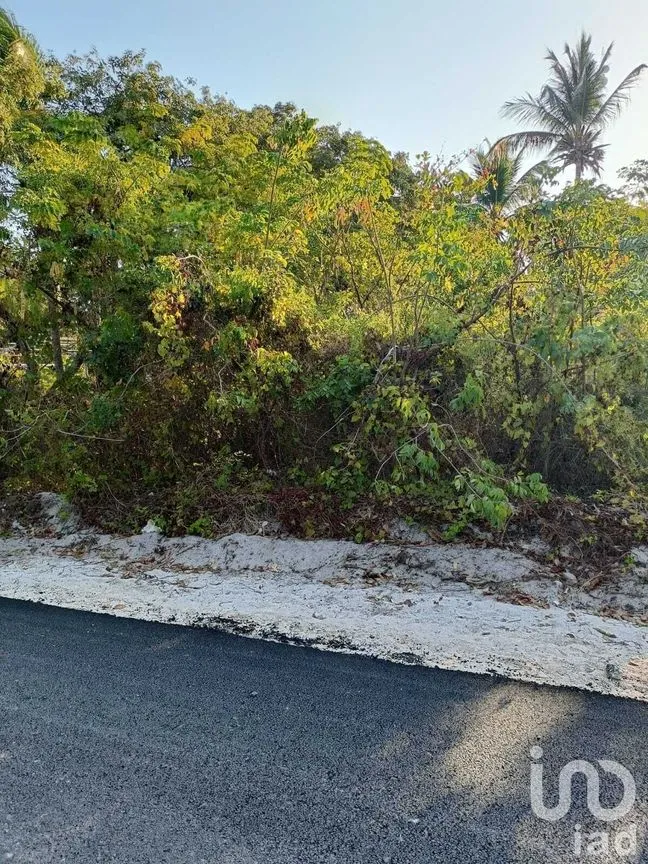 Terreno en Venta en Isla Aguada, Carmen, Campeche | NEX-227674 | iad México | Foto 10 de 13