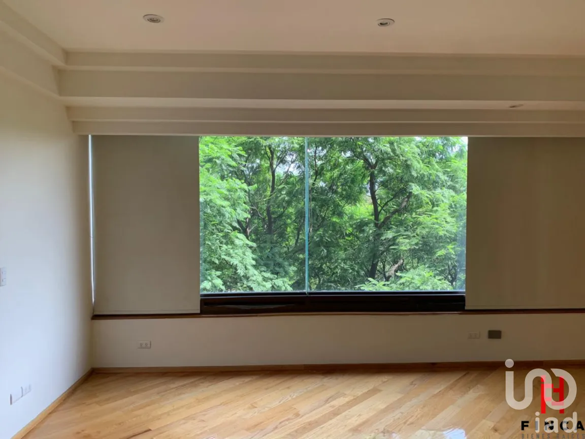 Departamento en Renta en Polanco IV Sección, Miguel Hidalgo, Ciudad de México | NEX-230325 | iad México | Foto 12 de 32