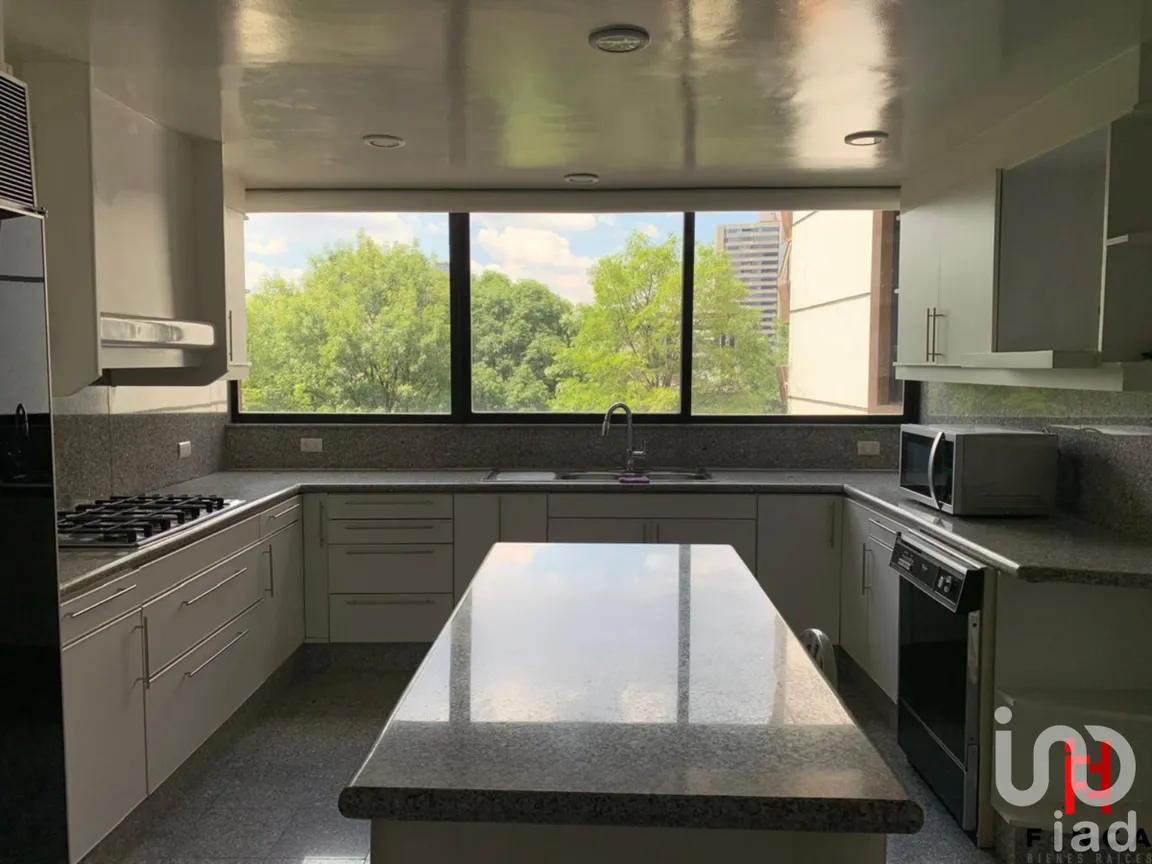 Departamento en Renta en Polanco IV Sección, Miguel Hidalgo, Ciudad de México | NEX-230325 | iad México | Foto 28 de 32