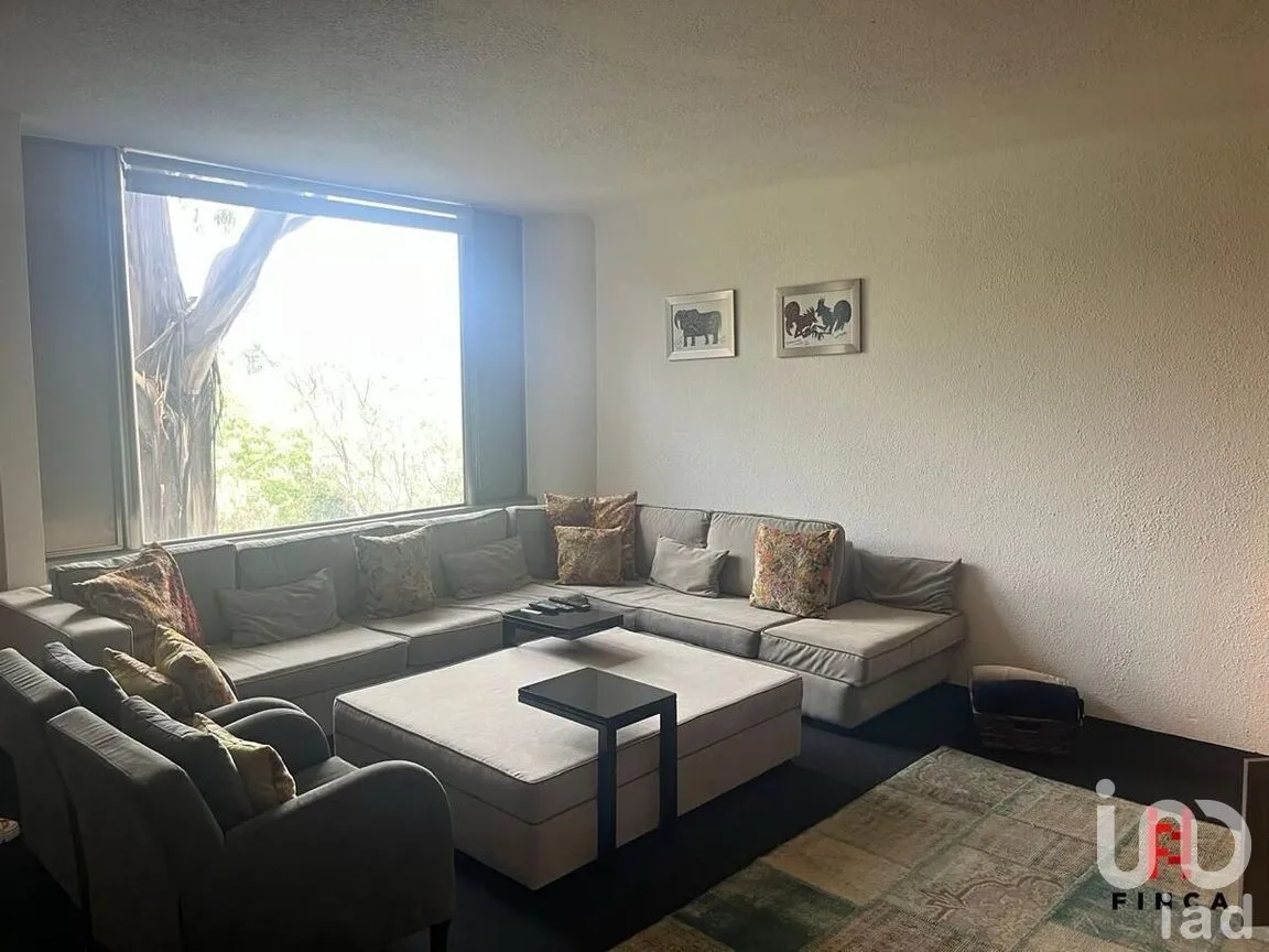 Casa en Venta en Lomas de Bezares, Miguel Hidalgo, Ciudad de México | NEX-271711 | iad México | Foto 12 de 49
